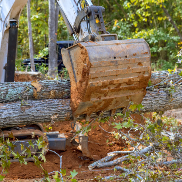 Uprooted trees litter streets after hurricane using with skid steer tractor assisted for cleaning up street